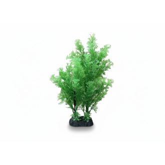Elodea Műnövény (32cm)